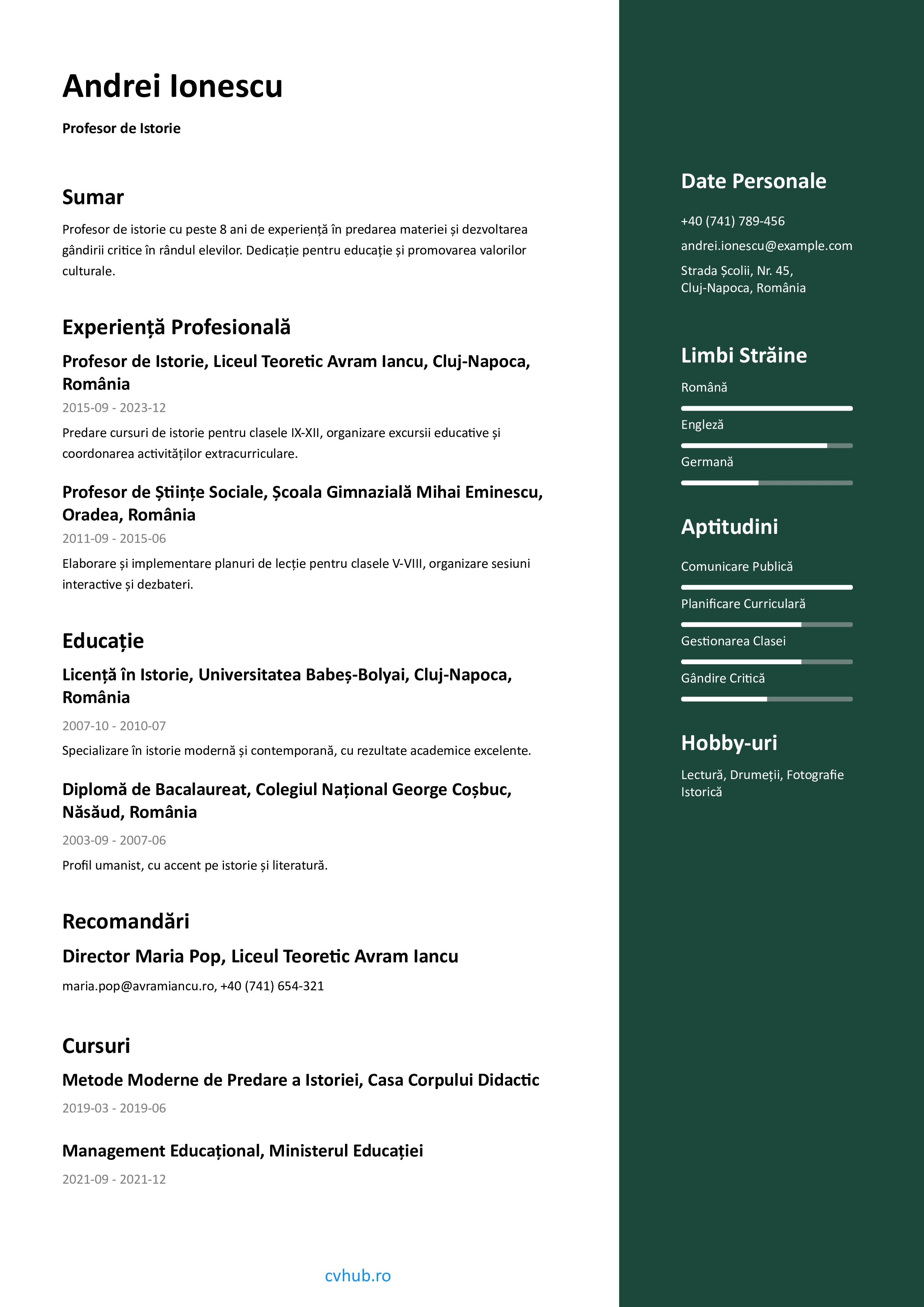 Model Curriculum Vitae - cvhub.ro